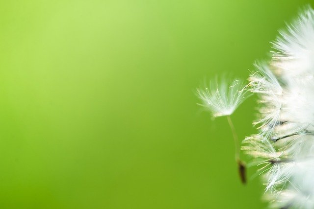 Minimalismus: Jak mu nepropadnout příliš?