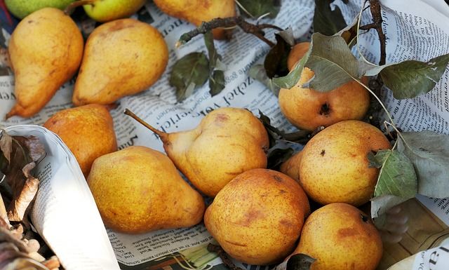 Hrušky v kuchyni: Buclatá slast k masu i kávě