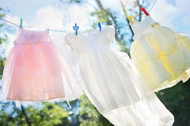 clothesline-804812_640
