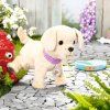 Zapf Creation Baby Born Můj veselý pejsek s přepravním boxem 4