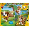 LEGO Creator 31382 Roztomilá zvířata Roztomilé štěňátko 6