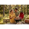 GrillMaster Přenosný skládací gril na dřevěné uhlí WM095583 3
